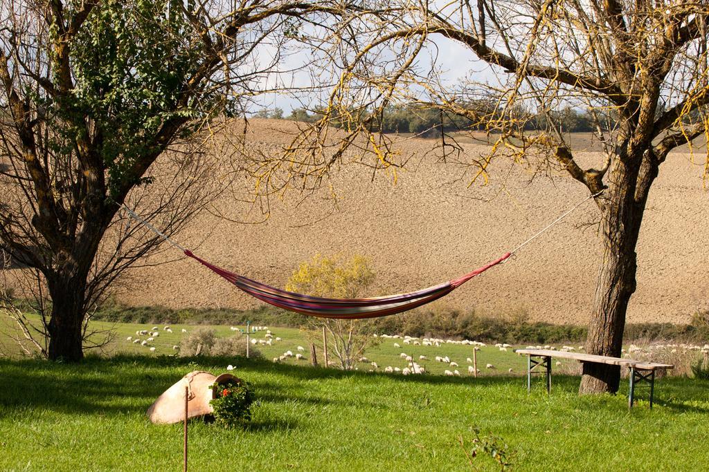 Wine Resort Colsereno Монталчино Екстериор снимка