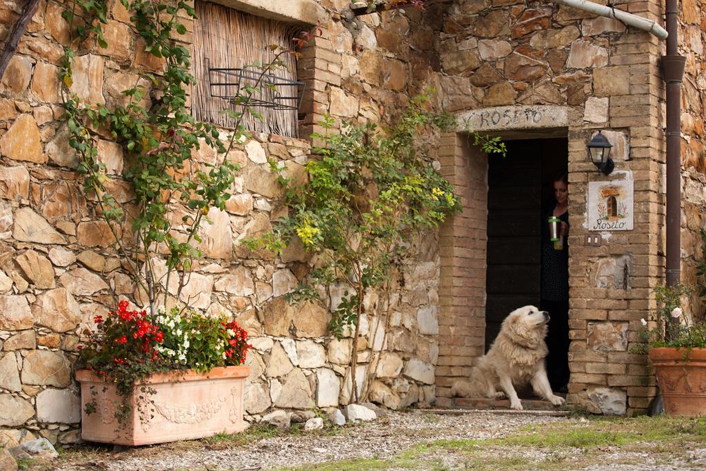 Wine Resort Colsereno Монталчино Екстериор снимка