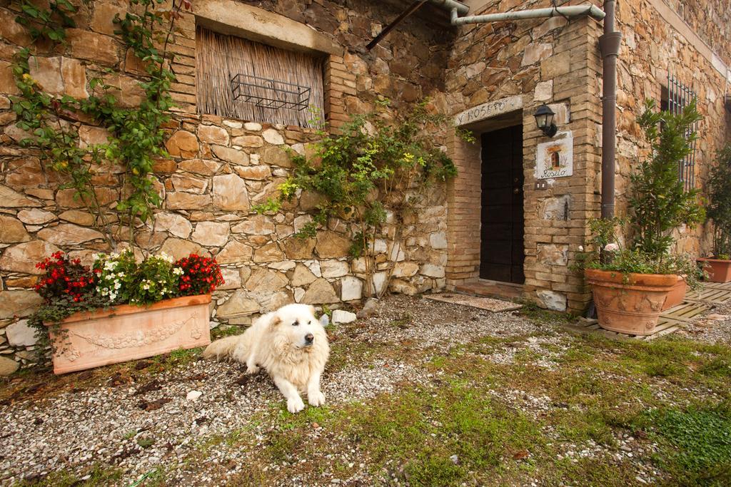 Wine Resort Colsereno Монталчино Екстериор снимка