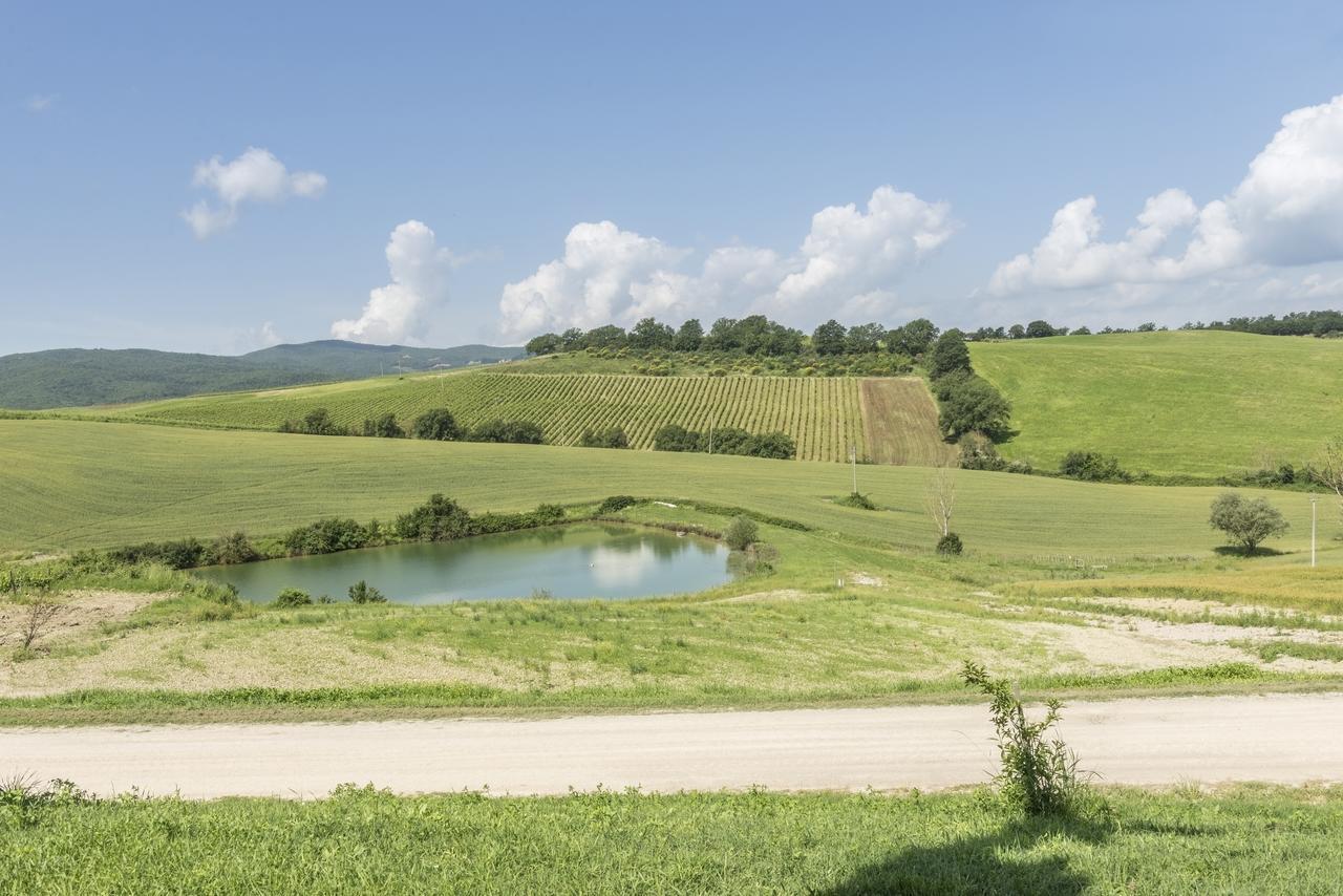 Wine Resort Colsereno Монталчино Екстериор снимка