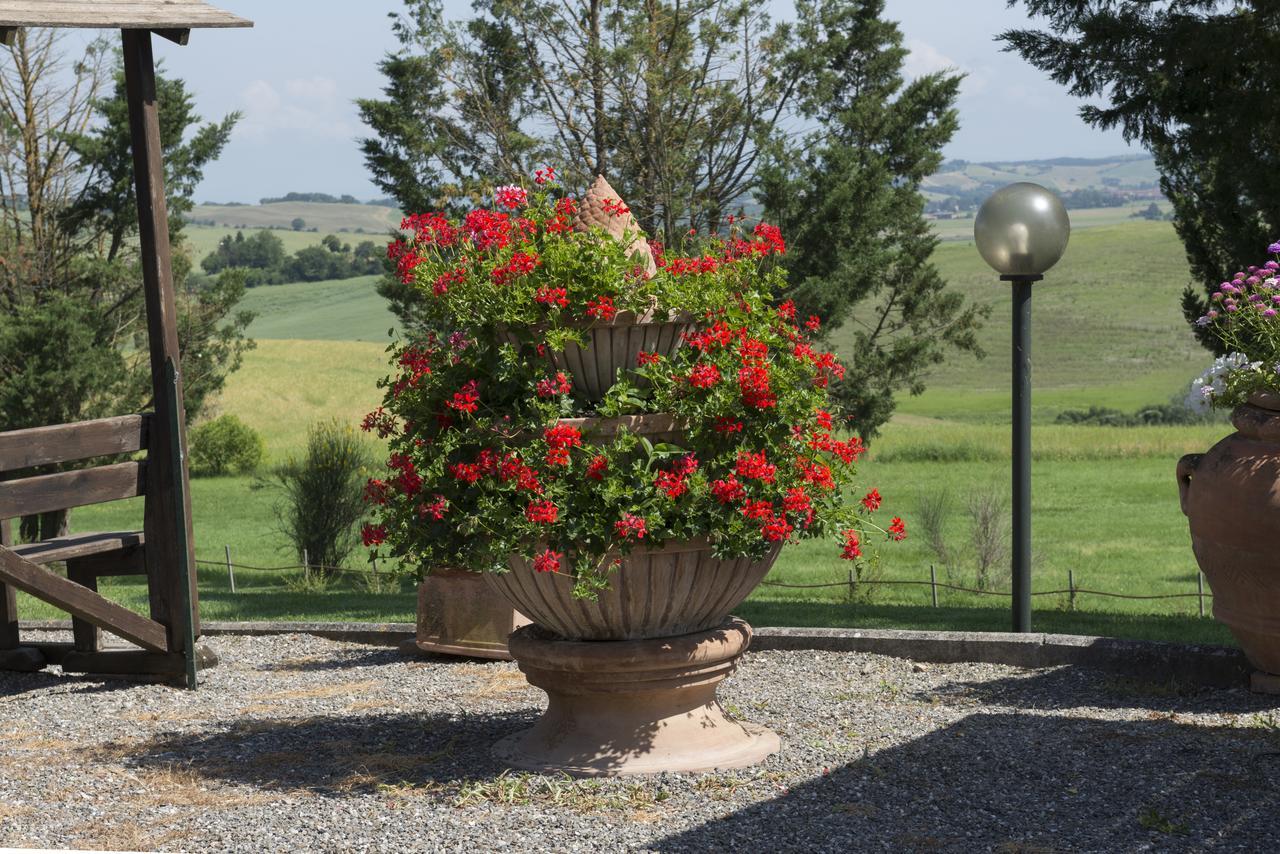 Wine Resort Colsereno Монталчино Екстериор снимка