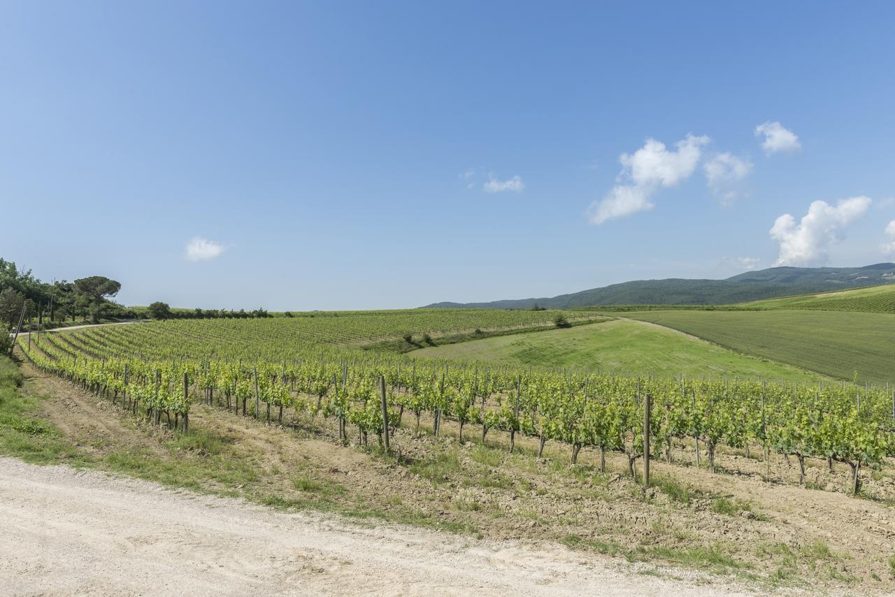 Wine Resort Colsereno Монталчино Екстериор снимка